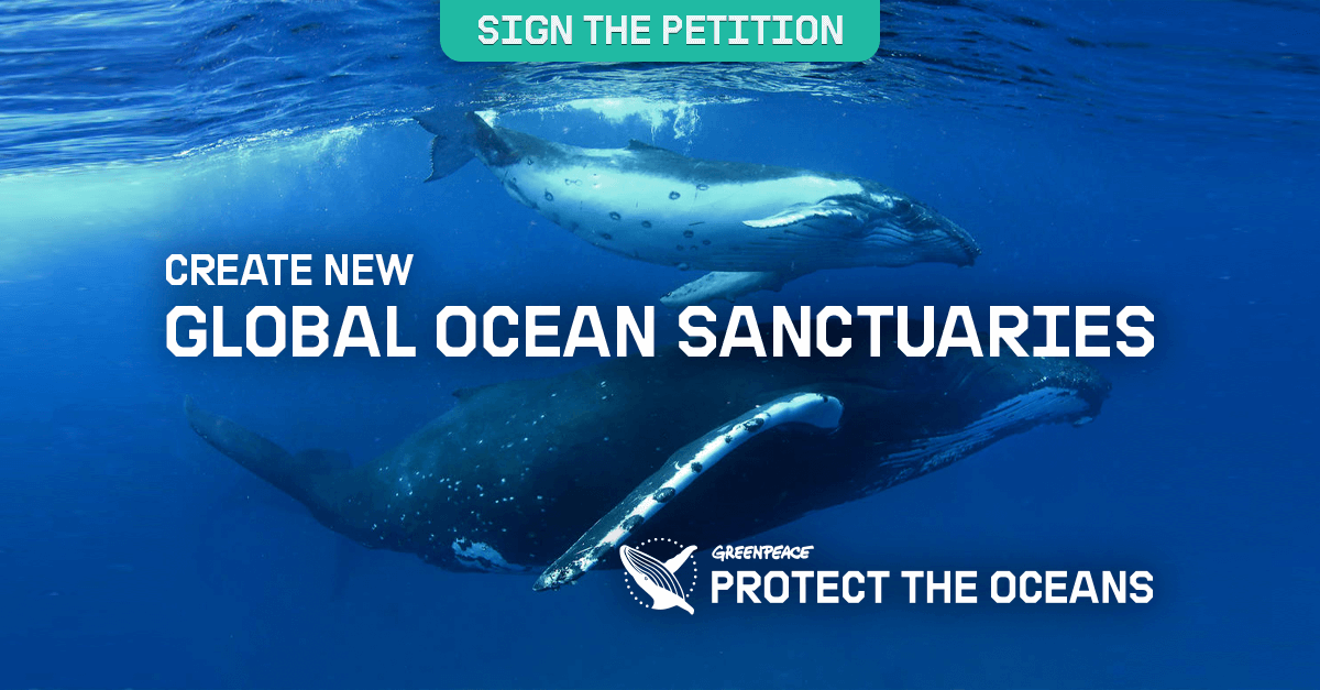 Create New Global Ocean Sanctuaries