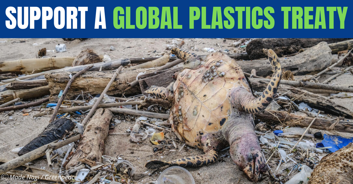 Support a Global Plastics Treaty!